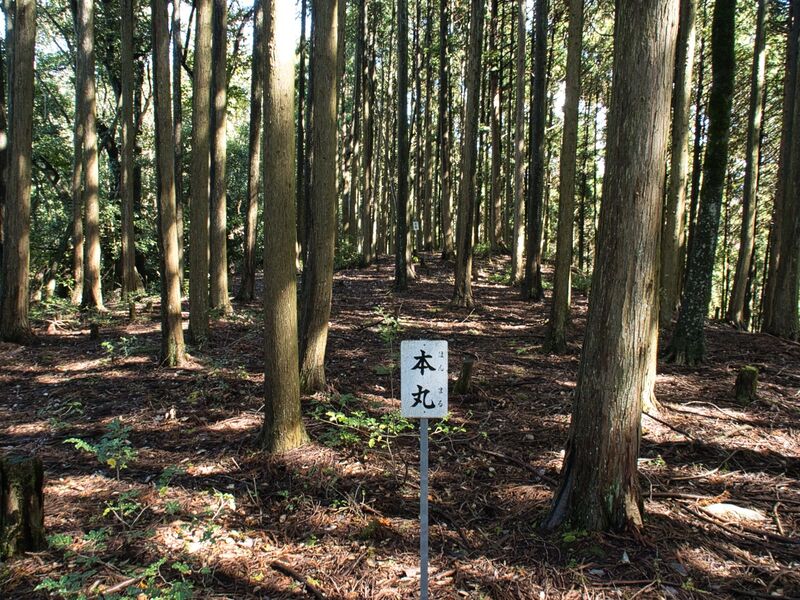 File:Kogaminekyoto16.jpg