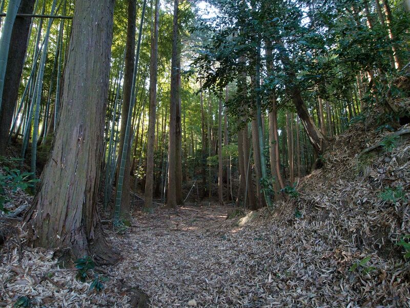 File:Mochizukikoka1.jpg