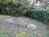 Najimajou (10).JPG