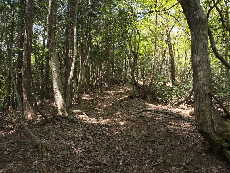 File:Nakataniyama25.jpg