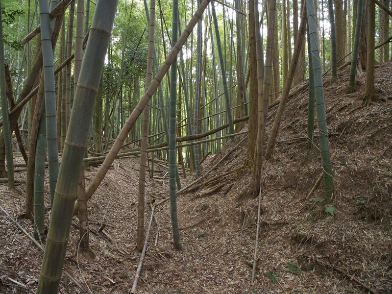 File:Ogawanishinokoka37.jpg