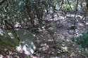 Ookawa quarry13.jpg