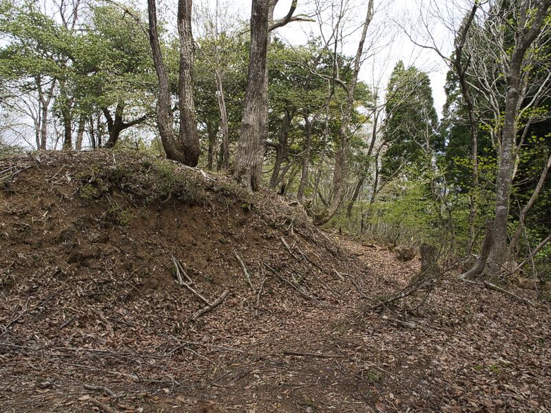 File:Tohnoyamashizu11.jpg