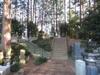 Urizurajou (15).JPG