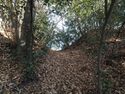 Yamana8.jpg