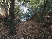 Yamana8.jpg