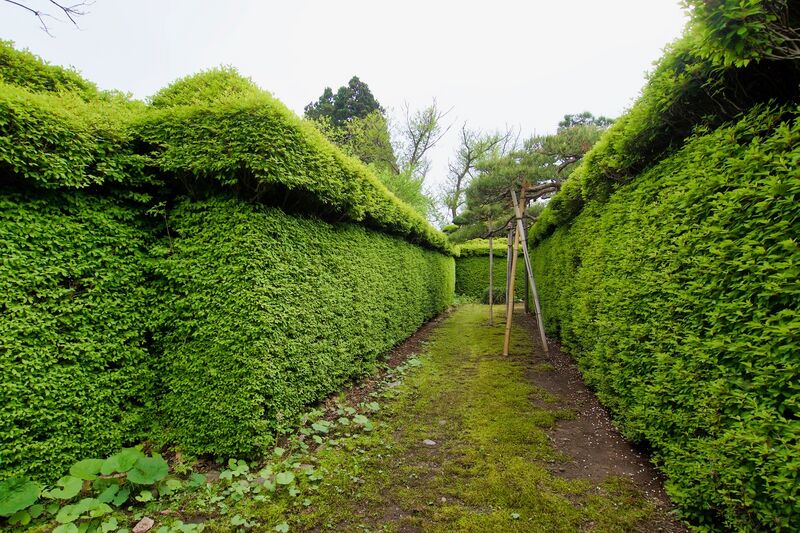 File:Kanegasaki hosome7.jpg
