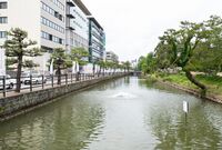Kochi 27 AMcL.JPG