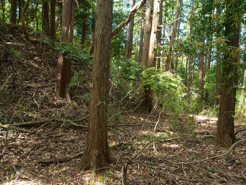 File:Kokururi3.jpg