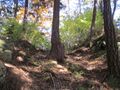 Thumbnail for version as of 07:10, 31 July 2023