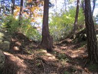 Ohsakidejou (1).JPG