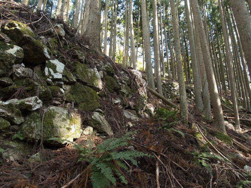 File:Shuzan47.jpg