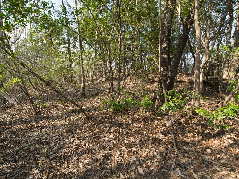 File:Teusu7.jpg