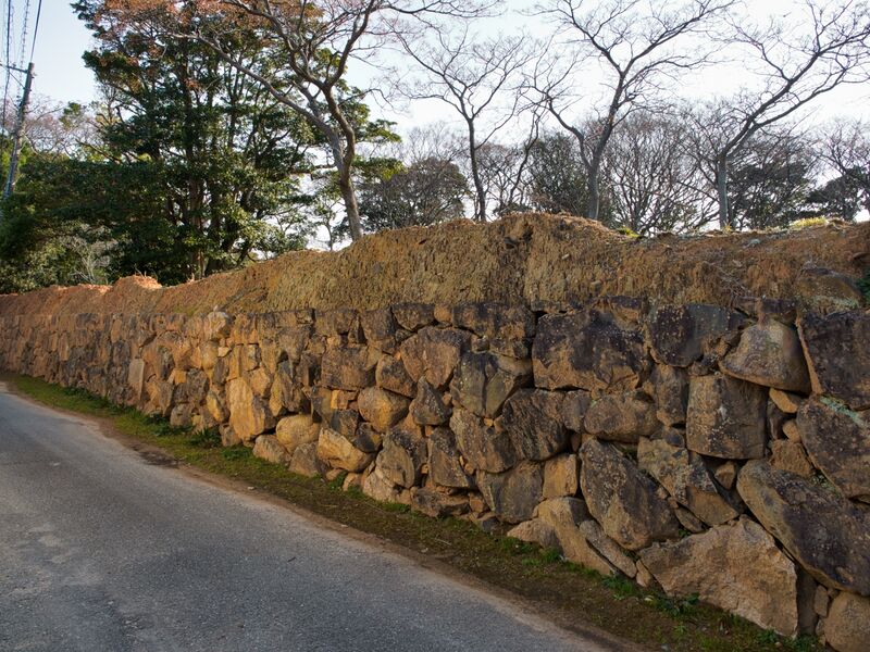 File:Hagicastle9.jpg