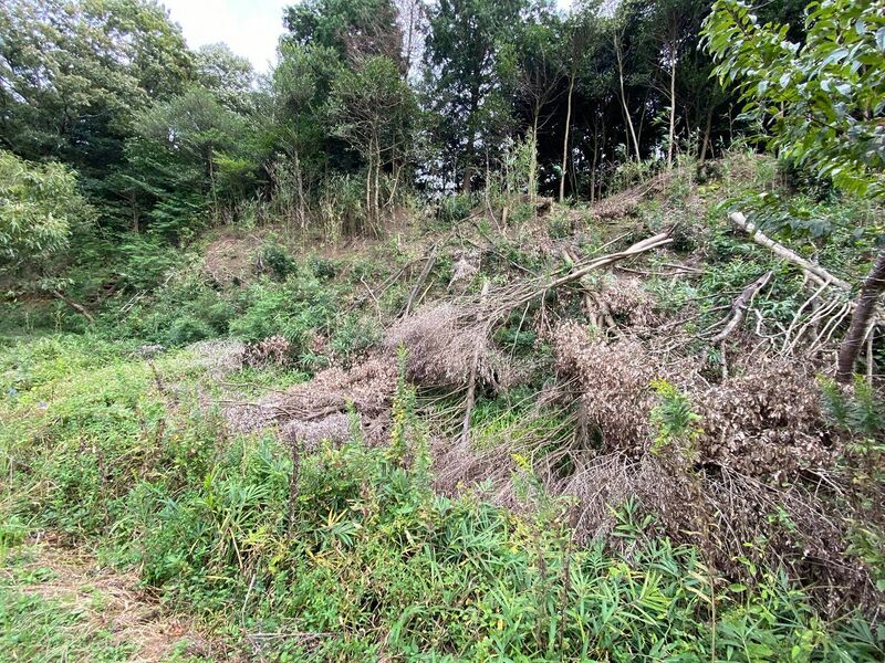 File:IgaMibunojou03.jpg