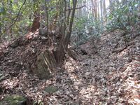 MinoDotajou010.jpg