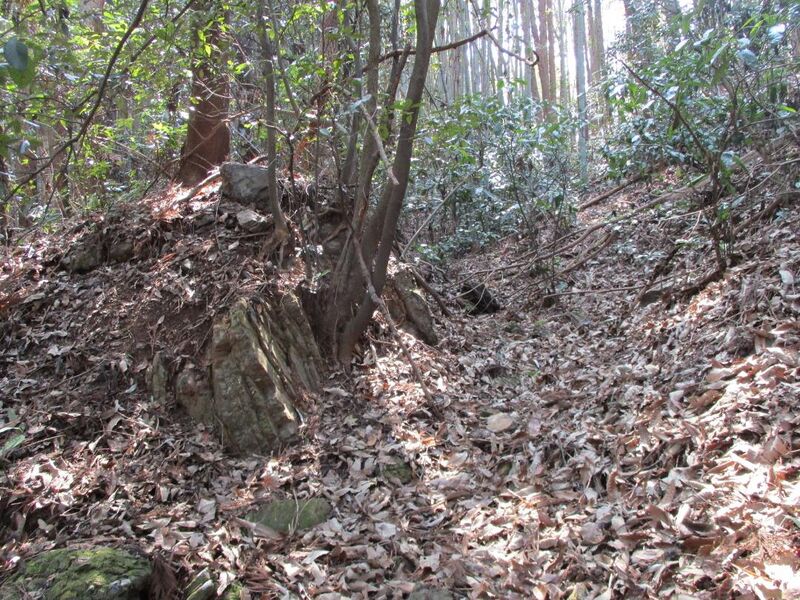 File:MinoDotajou010.jpg