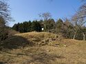 Ogawakoka14.jpg