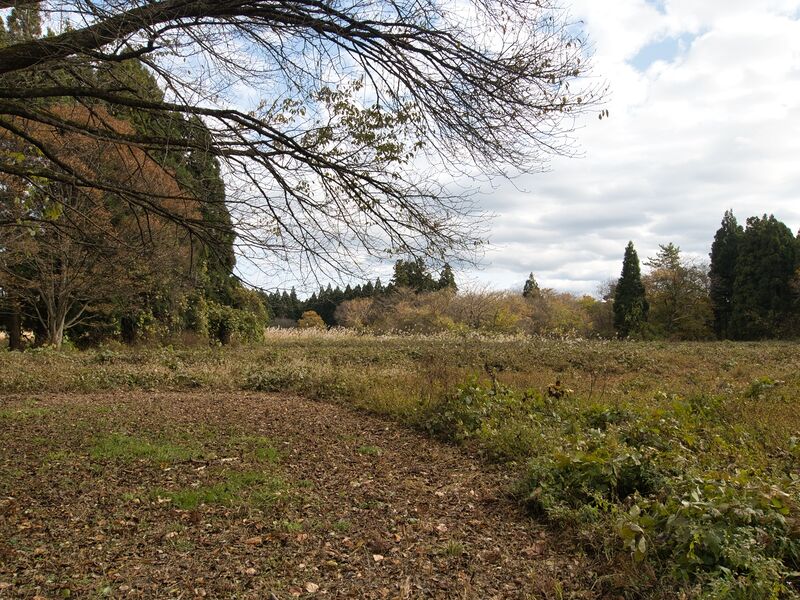 File:Ohdate2.jpg