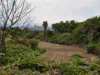 Shiroi44.jpg