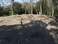 Tedori30.jpg