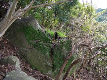 Heda quarry46.jpg
