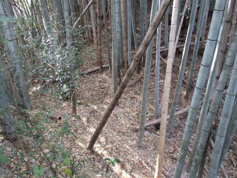 File:KagohanaToride003.jpg
