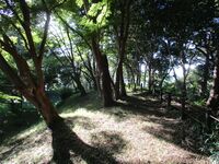 Kakegawakojou (25).JPG