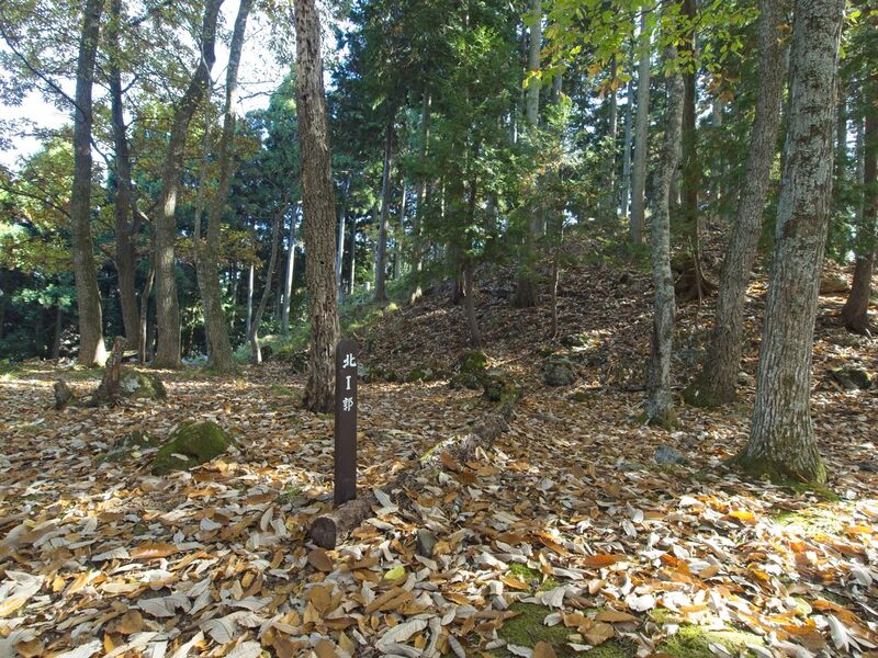 File:Kamaha21.jpg