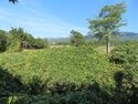 KitaKumai (38).JPG