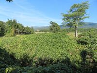 KitaKumai (38).JPG