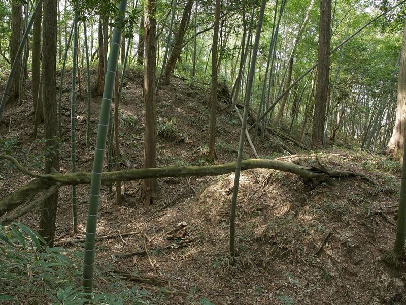 File:Ogawanishinokoka26.jpg