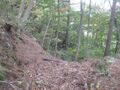 Thumbnail for version as of 13:32, 17 May 2024