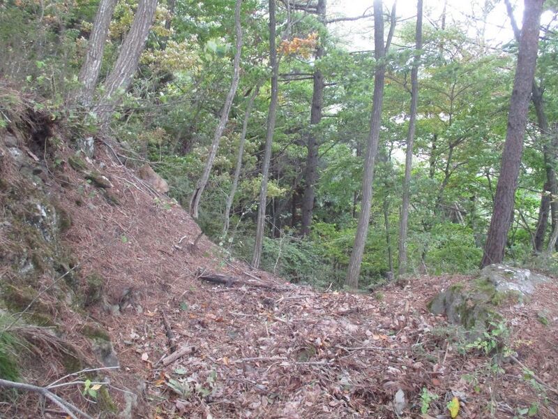 File:ShinanoYonakojou (17).jpg