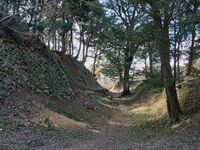Tamaru2025 50.jpg