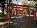 Tamaru2025 55.jpg