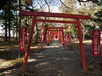 Tamaru2025 55.jpg