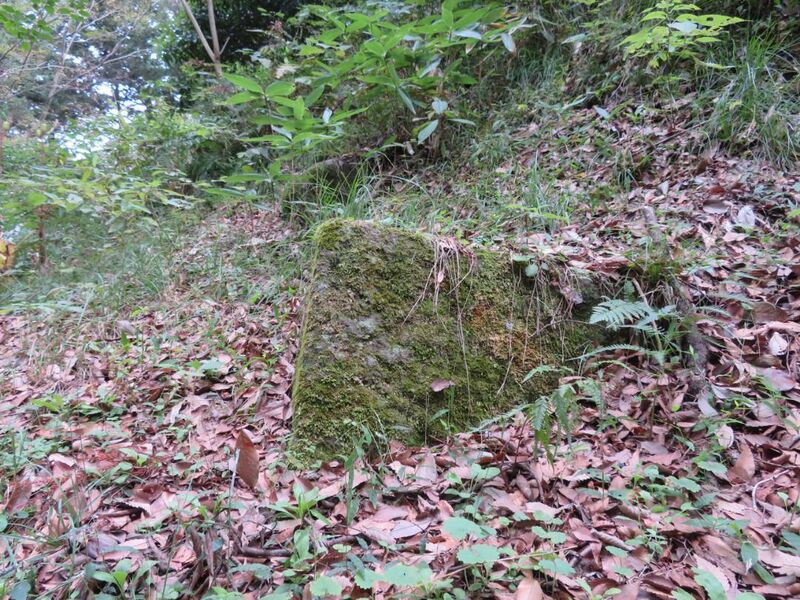 File:TsukikumajouART (19).jpg