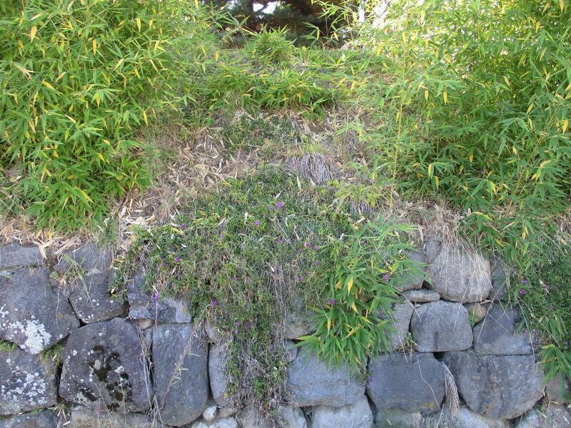 File:Fujimakijou (2).jpg