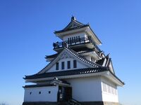 IchigouyamajouMogi.JPG