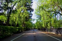 Kakunodate103.jpg