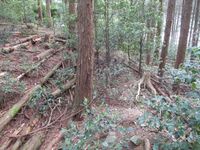 Kakutsugawajou (2).jpg