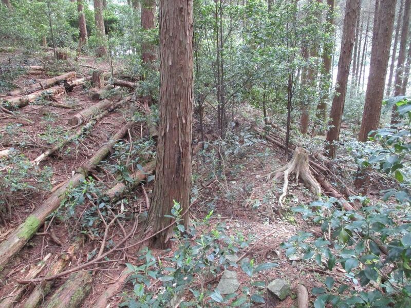 File:Kakutsugawajou (2).jpg