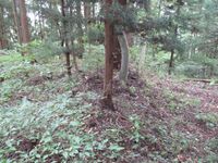 Koyabajou (2).jpg