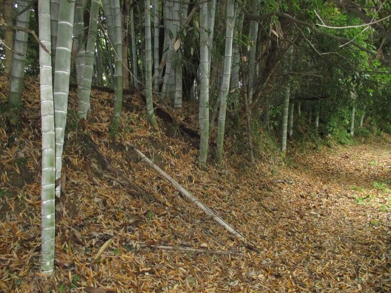 File:Marunejou (2).jpg