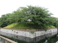 Mibu (3).JPG