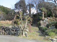 MikawaOoinojou (3).jpg