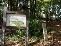 Ohmatsuyama2.jpg