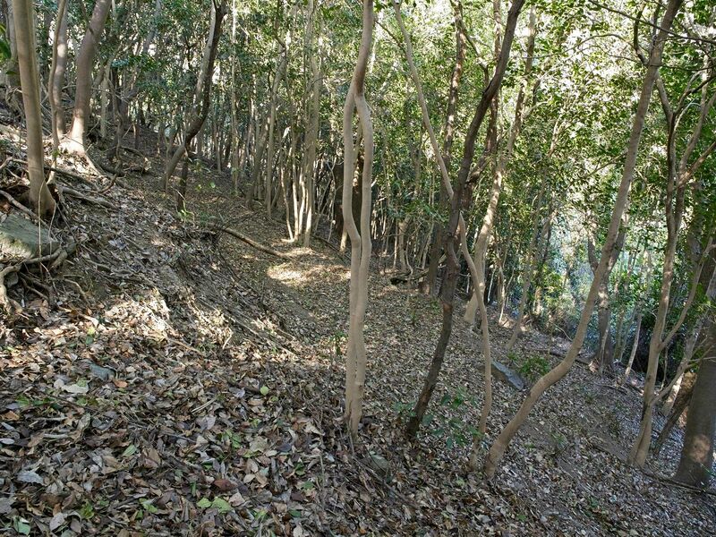 File:Tedori21.jpg