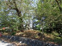 FutatsugiBungonokamiYakata (3).JPG
